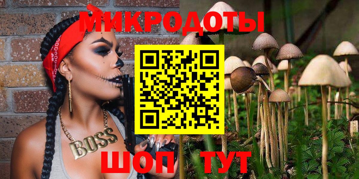 как найти   Псилоцибиновые грибы прущие грибы  Вход с VPN  Хабаровск 